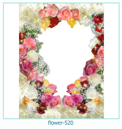flower Photo frame 520